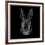 Rabbit on Black-Lisa Kroll-Framed Art Print