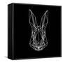 Rabbit on Black-Lisa Kroll-Framed Stretched Canvas