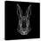 Rabbit on Black-Lisa Kroll-Stretched Canvas