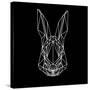 Rabbit on Black-Lisa Kroll-Stretched Canvas