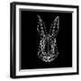 Rabbit on Black-Lisa Kroll-Framed Art Print