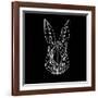 Rabbit on Black-Lisa Kroll-Framed Art Print