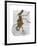 Rabbit on Penny Farthing-Fab Funky-Framed Art Print