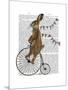 Rabbit on Penny Farthing-Fab Funky-Mounted Art Print