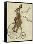 Rabbit on Penny Farthing-Fab Funky-Framed Stretched Canvas