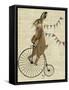 Rabbit on Penny Farthing-Fab Funky-Framed Stretched Canvas