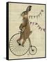 Rabbit on Penny Farthing-Fab Funky-Framed Stretched Canvas