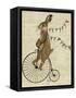 Rabbit on Penny Farthing-Fab Funky-Framed Stretched Canvas