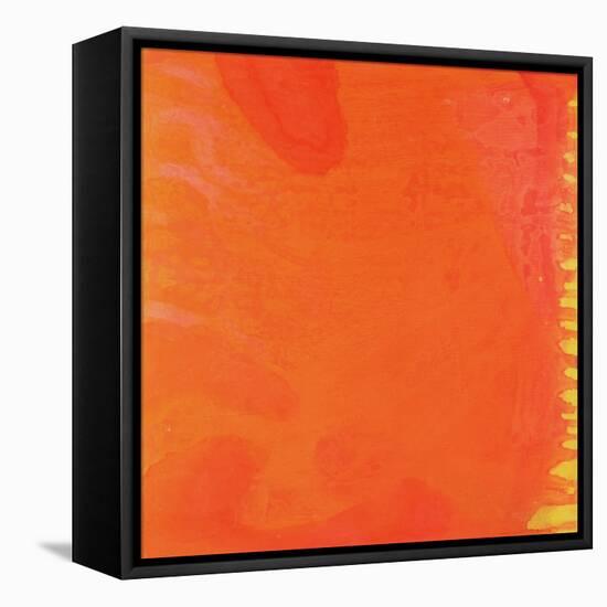 Rabbit Orange, 1997-Charlotte Johnstone-Framed Stretched Canvas