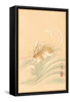 Rabbit Playing in Water-null-Framed Stretched Canvas