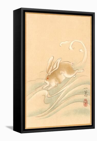 Rabbit Playing in Water-null-Framed Stretched Canvas