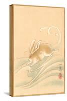 Rabbit Playing in Water-null-Stretched Canvas