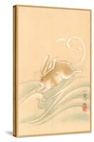 Rabbit Playing in Water-null-Stretched Canvas