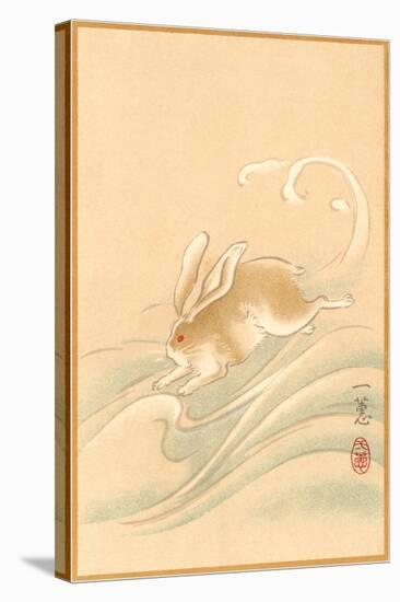 Rabbit Playing in Water-null-Stretched Canvas