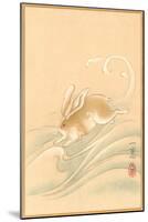 Rabbit Playing in Water-null-Mounted Art Print