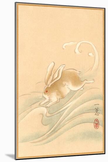 Rabbit Playing in Water-null-Mounted Art Print