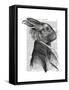 Rabbit Portrait Profile-Fab Funky-Framed Stretched Canvas