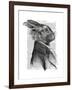 Rabbit Portrait Profile-Fab Funky-Framed Art Print