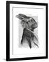 Rabbit Portrait Profile-Fab Funky-Framed Art Print