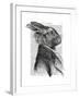 Rabbit Portrait Profile-Fab Funky-Framed Art Print