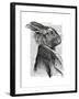 Rabbit Portrait Profile-Fab Funky-Framed Art Print