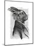Rabbit Portrait Profile-Fab Funky-Mounted Art Print