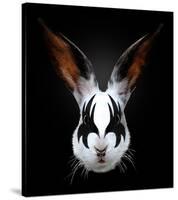 Rabbit Rocks-Robert Farkas-Stretched Canvas