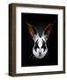 Rabbit Rocks-Robert Farkas-Framed Art Print