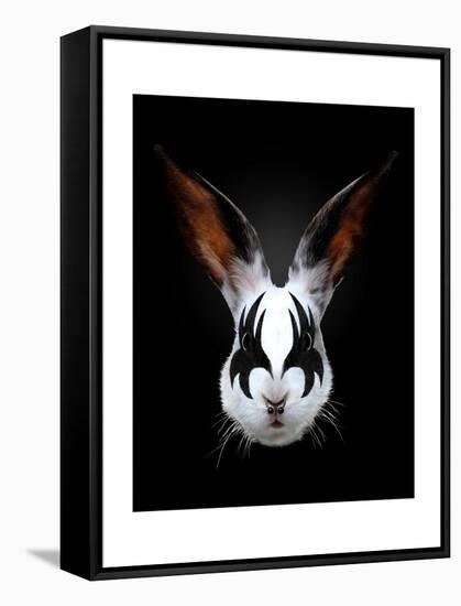 Rabbit Rocks-Robert Farkas-Framed Stretched Canvas