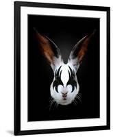 Rabbit Rocks-Robert Farkas-Framed Art Print