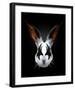 Rabbit Rocks-Robert Farkas-Framed Art Print