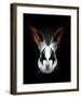 Rabbit Rocks-Robert Farkas-Framed Art Print