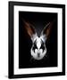 Rabbit Rocks-Robert Farkas-Framed Art Print
