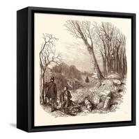 Rabbit Shooting, Rabbits-null-Framed Stretched Canvas