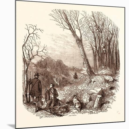 Rabbit Shooting, Rabbits-null-Mounted Giclee Print