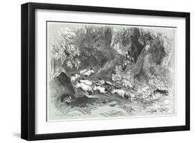 Rabbit Shooting-W Harvey-Framed Art Print