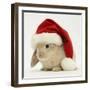 Rabbit Wearing a Father Christmas Hat-Jane Burton-Framed Photographic Print