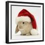 Rabbit Wearing a Father Christmas Hat-Jane Burton-Framed Photographic Print