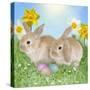 Rabbit with Easter Eggs and Daffodils-null-Stretched Canvas