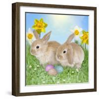 Rabbit with Easter Eggs and Daffodils-null-Framed Photographic Print