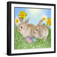 Rabbit with Easter Eggs and Daffodils-null-Framed Photographic Print