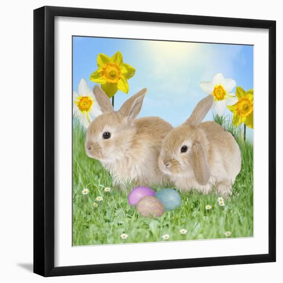 Rabbit with Easter Eggs and Daffodils-null-Framed Photographic Print