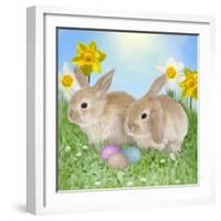 Rabbit with Easter Eggs and Daffodils-null-Framed Photographic Print