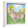 Rabbit with Easter Eggs and Daffodils-null-Framed Photographic Print