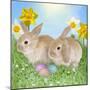 Rabbit with Easter Eggs and Daffodils-null-Mounted Photographic Print