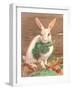 Rabbit with Vegetables-null-Framed Art Print