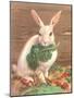 Rabbit with Vegetables-null-Mounted Art Print