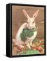 Rabbit with Vegetables-null-Framed Stretched Canvas