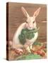 Rabbit with Vegetables-null-Stretched Canvas