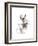 Rabbit-Philippe Debongnie-Framed Art Print